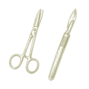 Scalpel and surgical scissors