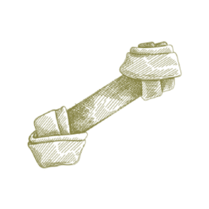 Dark dog bone chew toy