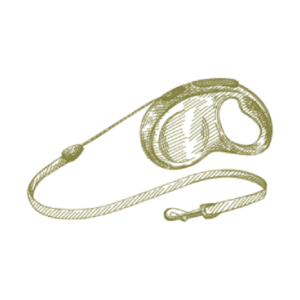 Retractable dog leash