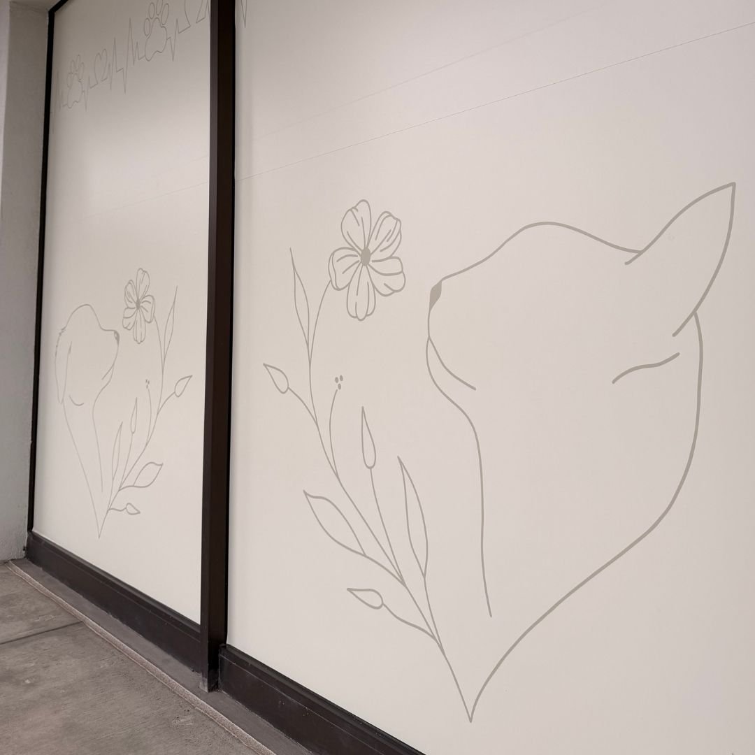 graphics-on-wall (1)